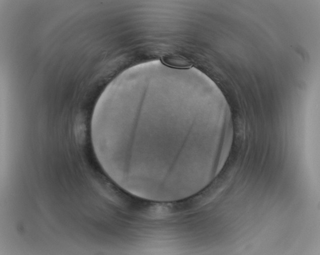 X0000112960080200910081054