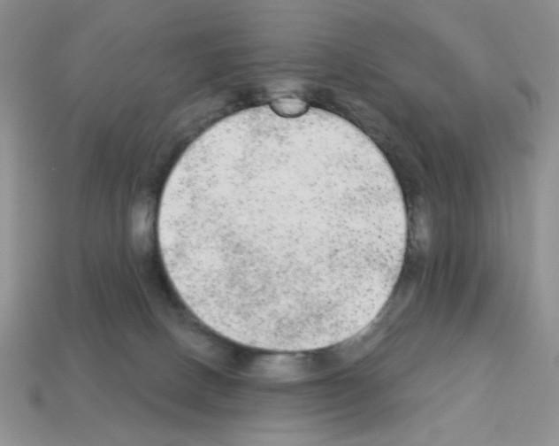 X0000112960082200910081054