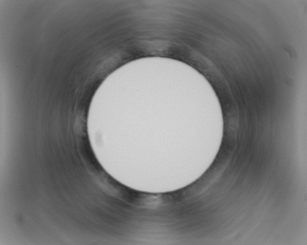 X0000112960083200910081054