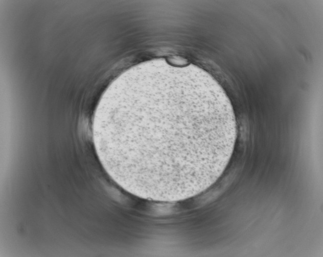 X0000112960089200910081054