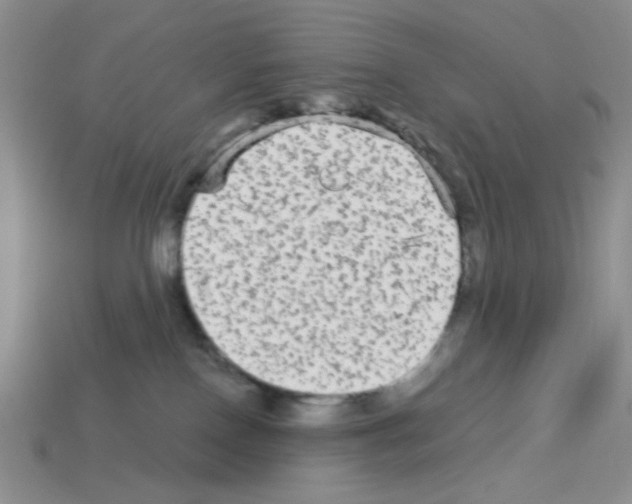 X0000112960090200910081054