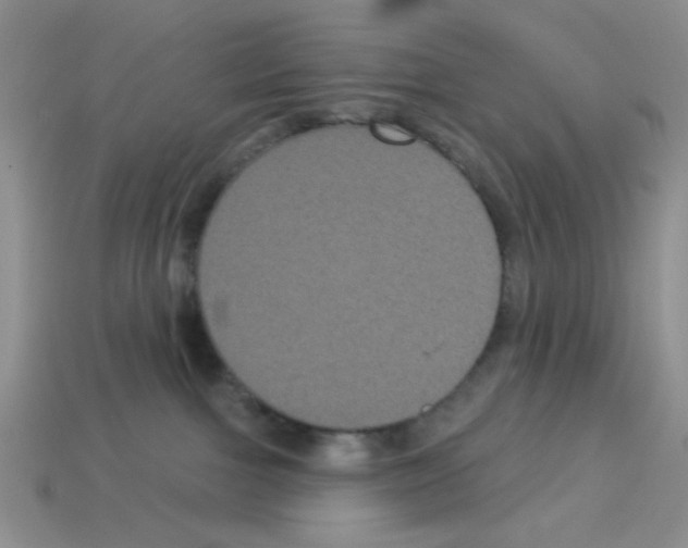 X0000112960091200910081054