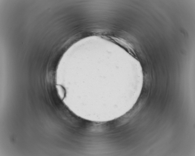 X0000112960093200910081055