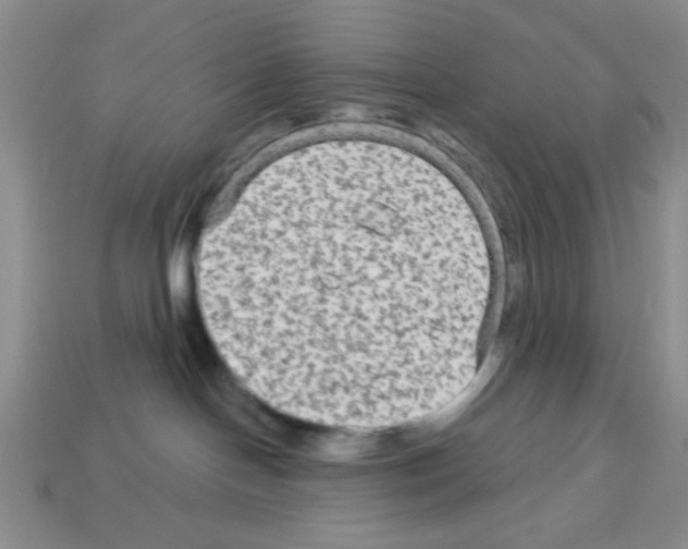 X0000112960094200910081055