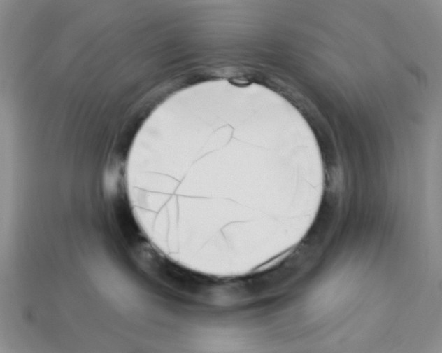 X0000112960095200910081055