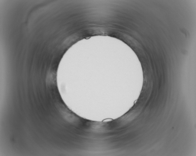 X0000112960096200910081055