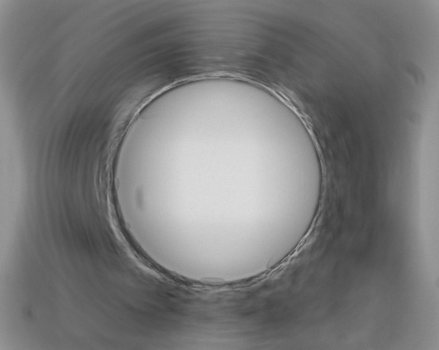 X0000112960097200910081054