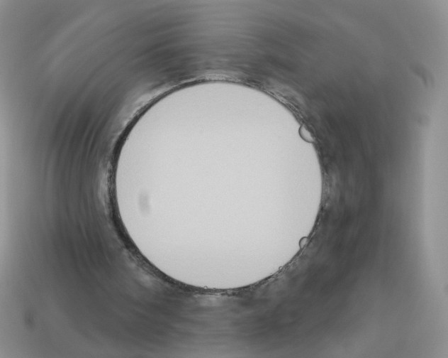 X0000112960098200910081054