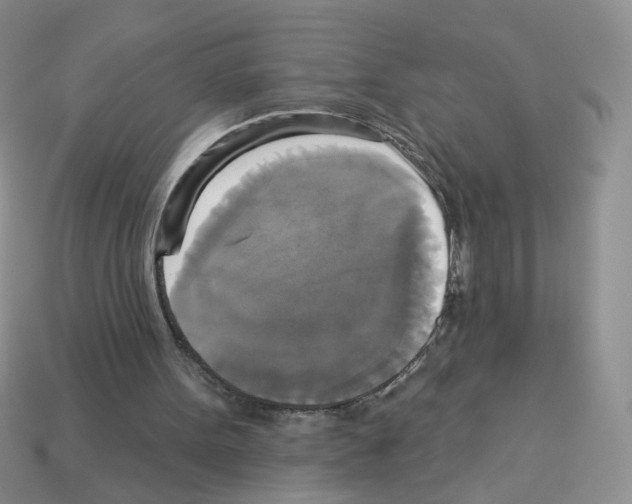 X0000112960099200910081054