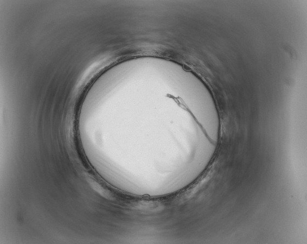 X0000112960101200910081054