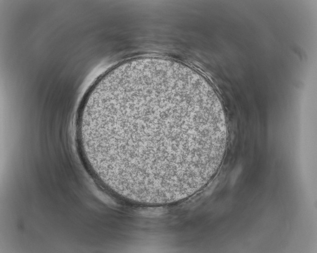 X0000112960102200910081054