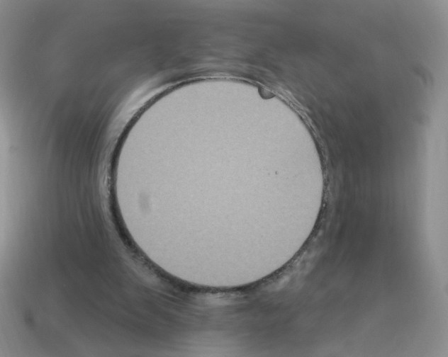 X0000112960103200910081054