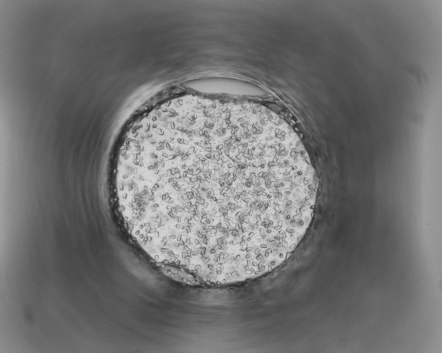 X0000112960104200910081054