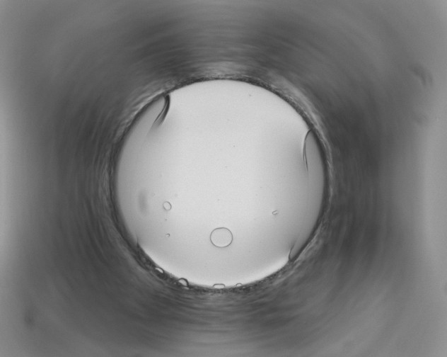 X0000112960105200910081054