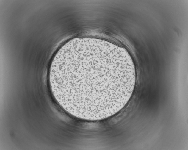 X0000112960107200910081054