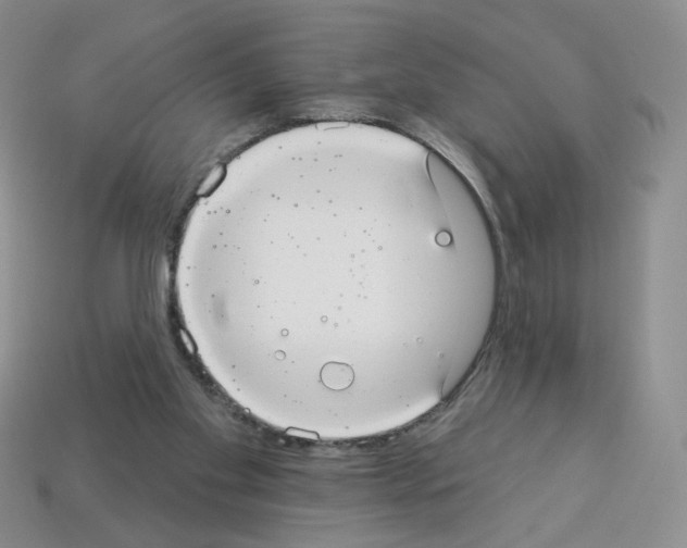 X0000112960109200910081054