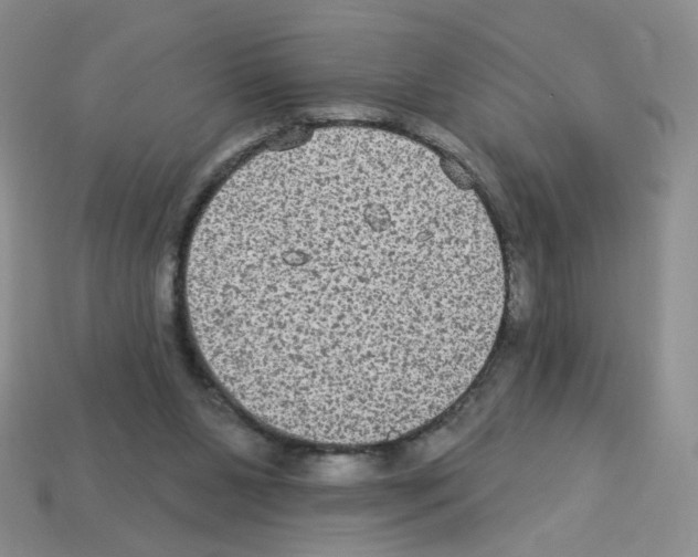 X0000112960111200910081054