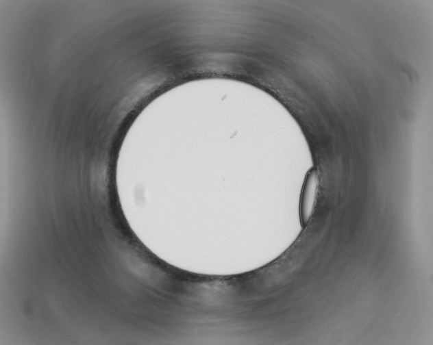 X0000112960112200910081054