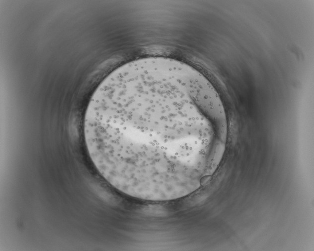 X0000112960114200910081054