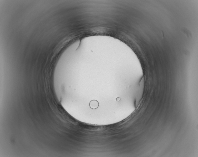 X0000112960116200910081054