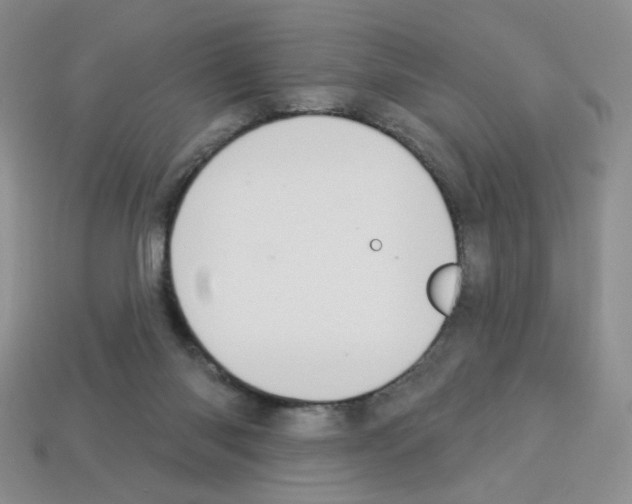 X0000112960118200910081054