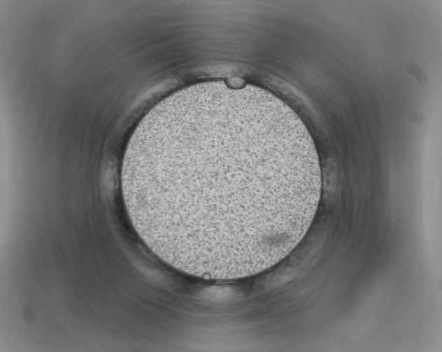 X0000112960119200910081054