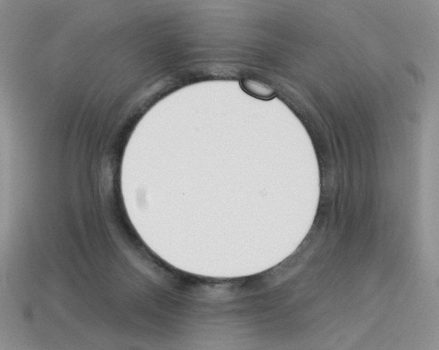 X0000112960120200910081054