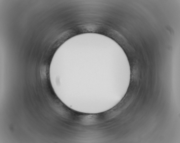 X0000112960122200910081054