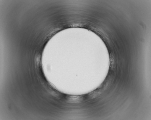 X0000112960123200910081054