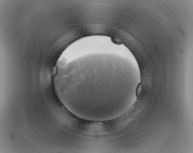 X0000112960124200910081054