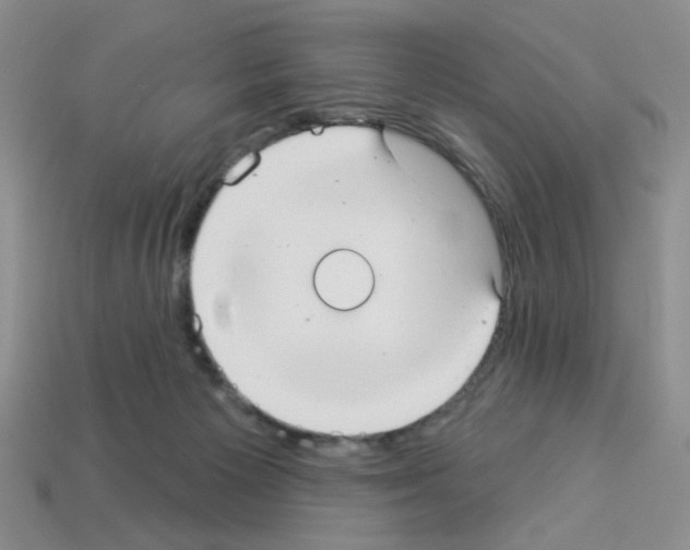 X0000112960125200910081054