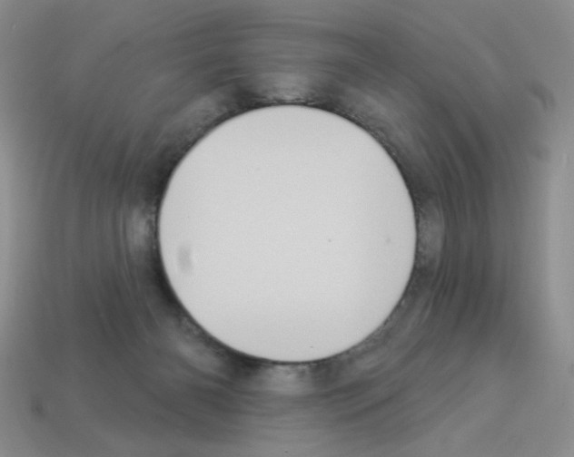 X0000112960126200910081054