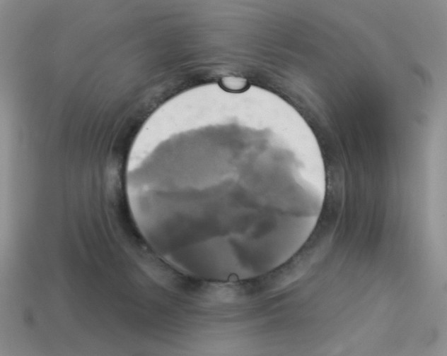 X0000112960127200910081054