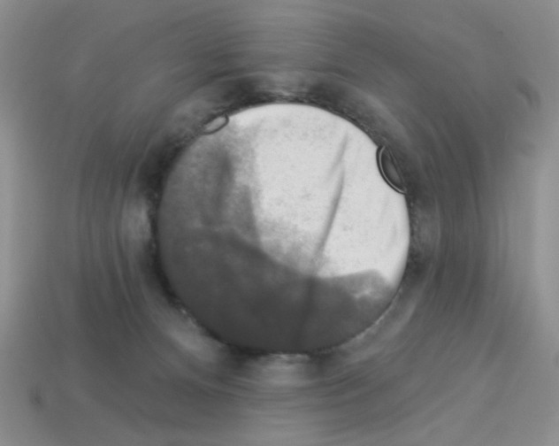 X0000112960128200910081054