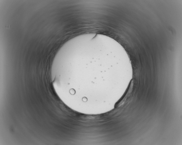 X0000112960129200910081054