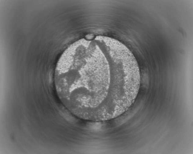 X0000112960131200910081054