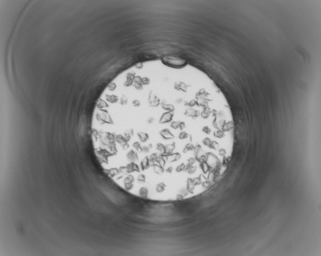 X0000112960132200910081053