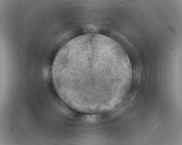 X0000112960134200910081053