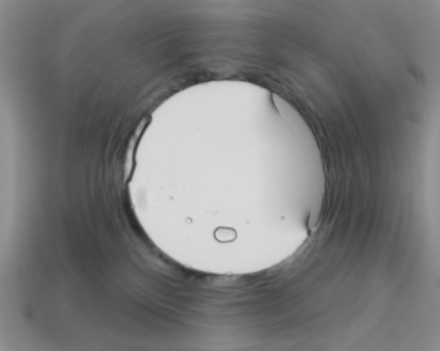 X0000112960136200910081053