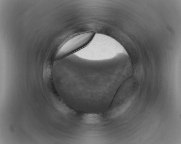 X0000112960137200910081053