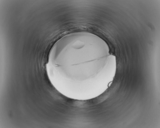 X0000112960139200910081053