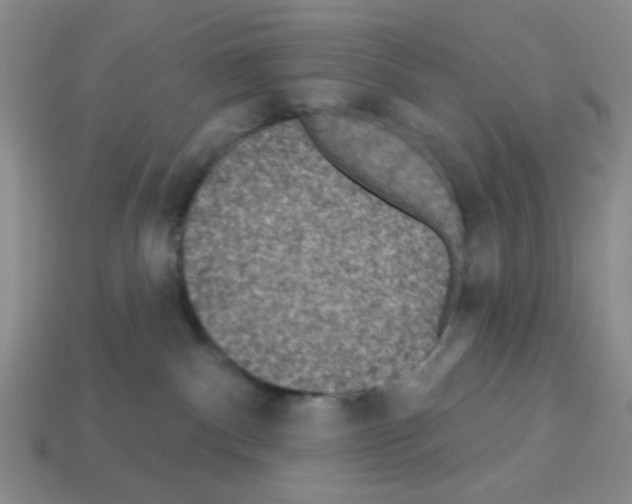 X0000112960140200910081053