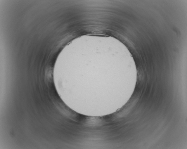 X0000112960141200910081053