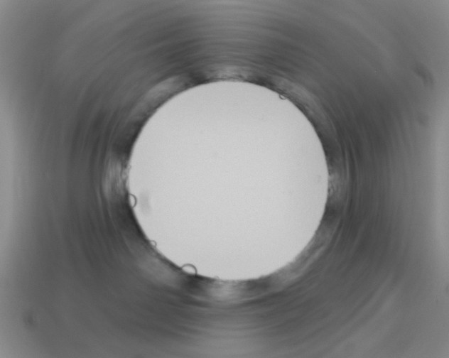 X0000112960142200910081053