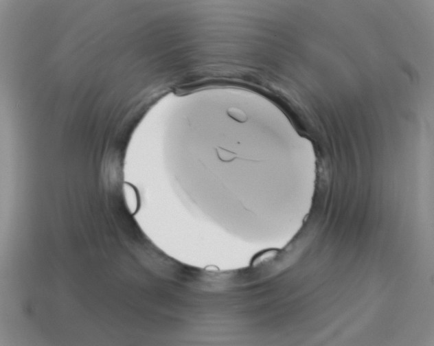 X0000112960143200910081053