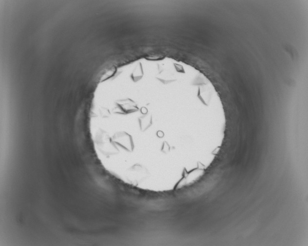 X0000112960144200910081053