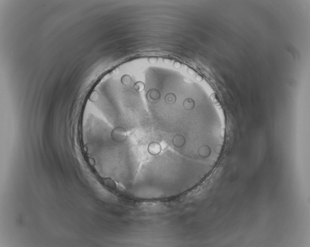 X0000112960145200910081053