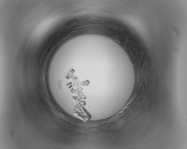 X0000112960146200910081053