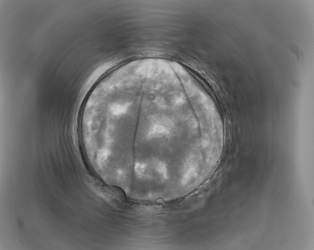 X0000112960147200910081053