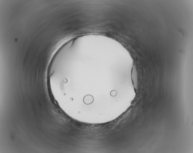 X0000112960148200910081053